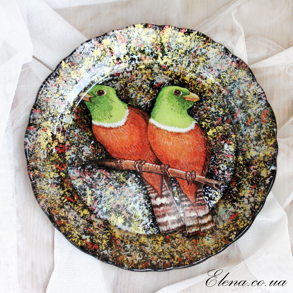 Тарiлка Папуги